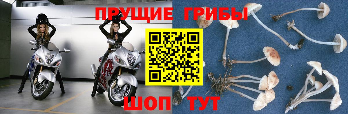 Псилоцибиновые грибы Psilocybine cubensis  Вход с VPN  Асбест  Псилоцибиновые грибы Magic Shrooms 